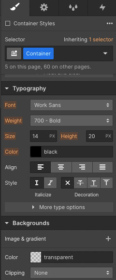 Style controls in the Webflow designer