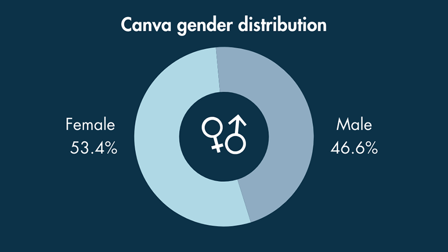 A donut chart showing the gender distribution for Canva users.