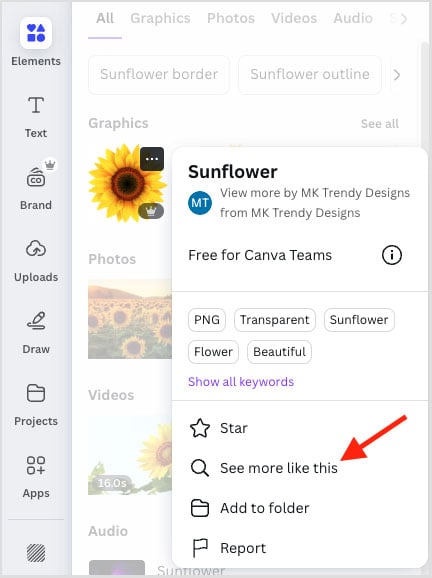 Canva's 'See more like this' option for stock assets.