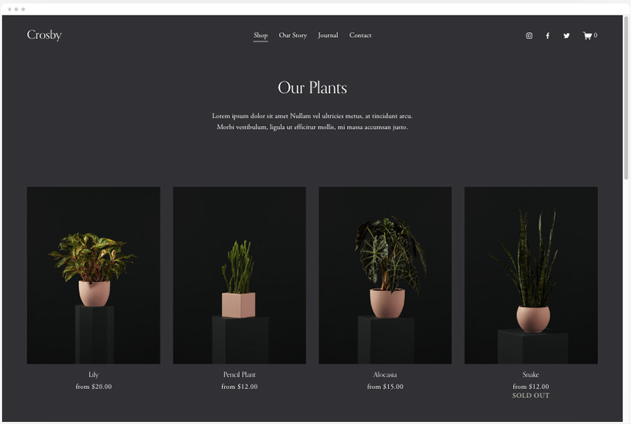 Squarespace's 'Crosby' ecommerce template.