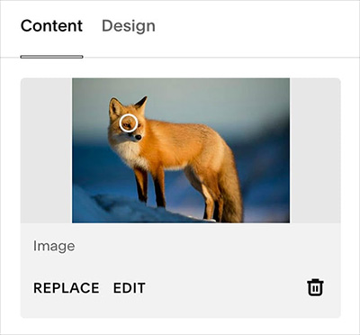 Setting a focal point for an image in Squarespace