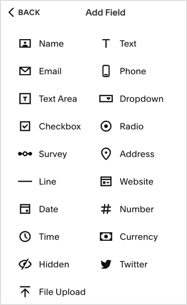 Form field options in Squarespace