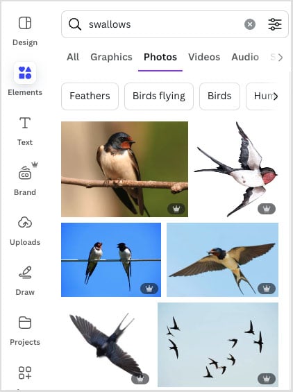 The Canva Element panel displaying some of the premium assets you get access to with Canva Pro