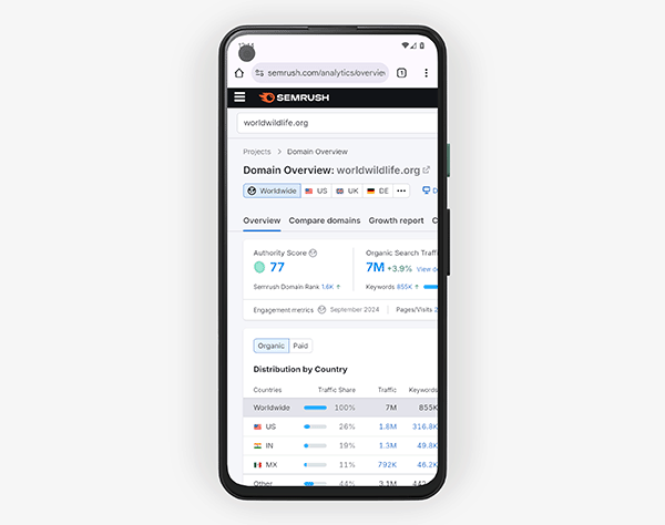 Accessing Semrush on a smartphone